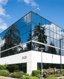 Electronic City Properties